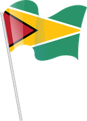 The Flag of Guyana Pole Flag I