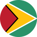 The Flag of Guyana Round
