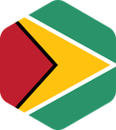 The Flag of Guyana Rounded Hexagon