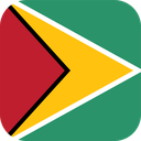 The Flag of Guyana Rounded Square