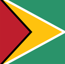 The Flag of Guyana Square