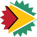 The Flag of Guyana Star Burst