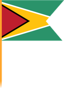The Flag of Guyana V Cut