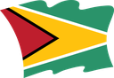 The Flag of Guyana Wavy II