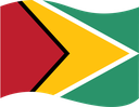 The Flag of Guyana Wavy I