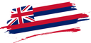 The Flag of Hawaii Brushed