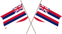 The Flag of Hawaii Crossed Flags