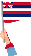 The Flag of Hawaii Handheld