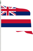 The Flag of Hawaii Pole Flag II