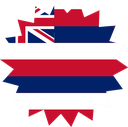The Flag of Hawaii Star Burst