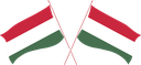 The Flag of Hungary Crossed Flags
