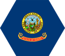 The Flag of Idaho Hexagon I