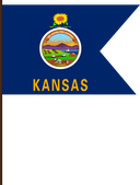 The Flag of Kansas V Cut