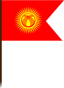 The Flag of Kyrgyzstan V Cut
