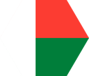 The Flag of Madagascar Hexagon I