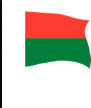 The Flag of Madagascar Pole Flag III