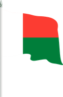 The Flag of Madagascar Pole Flag II