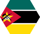 The Flag of Mozambique Hexagon I
