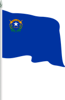 The Flag of Nevada Pole Flag II