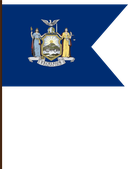 The Flag of New York V Cut