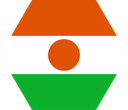 The Flag of Niger Hexagon I