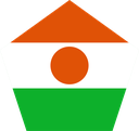 The Flag of Niger Pentagon