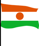 The Flag of Niger Pole Flag III