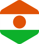 The Flag of Niger Rounded Hexagon