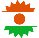The Flag of Niger Star Burst