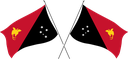 The Flag of Papua New Guinea Crossed Flags
