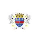 The Flag of Saint Barthélemy Shielded I