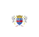The Flag of Saint Barthélemy Star