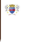 The Flag of Saint Barthélemy V Cut
