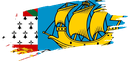 The Flag of Saint Pierre and Miquelon Brushed