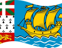 The Flag of Saint Pierre and Miquelon Wavy I