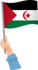 The Flag of Sahrawi Arab Handheld