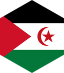 The Flag of Sahrawi Arab Hexagon II