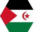 The Flag of Sahrawi Arab Hexagon I