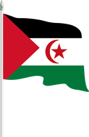 The Flag of Sahrawi Arab Pole Flag II