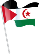 The Flag of Sahrawi Arab Pole Flag I