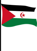 The Flag of Sahrawi Arab Pole Flag III