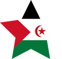 The Flag of Sahrawi Arab Star
