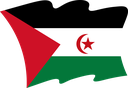 The Flag of Sahrawi Arab Wavy II