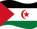 The Flag of Sahrawi Arab Wavy I