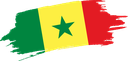 The Flag of Senegal Brushed