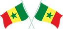 The Flag of Senegal Crossed Flags