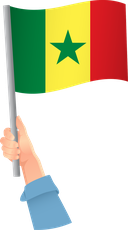 The Flag of Senegal Handheld