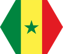 The Flag of Senegal Hexagon I