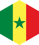 The Flag of Senegal Hexagon II