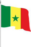 The Flag of Senegal Pole Flag II